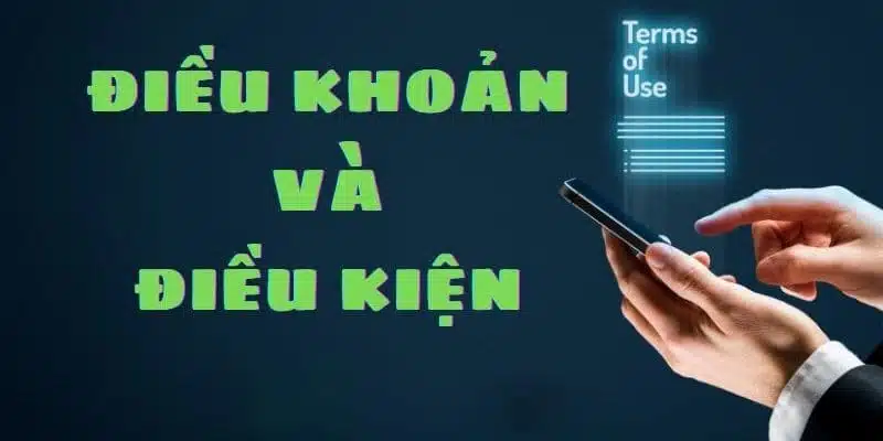 Điều khoản được công khai